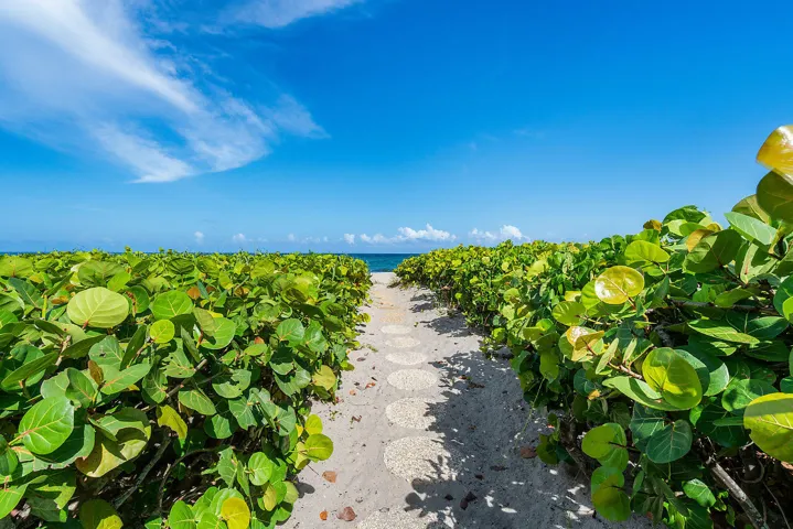 Walking Path to Beach