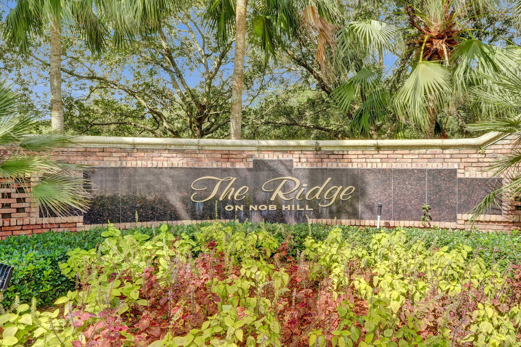 21-web-or-mls-DSC07627