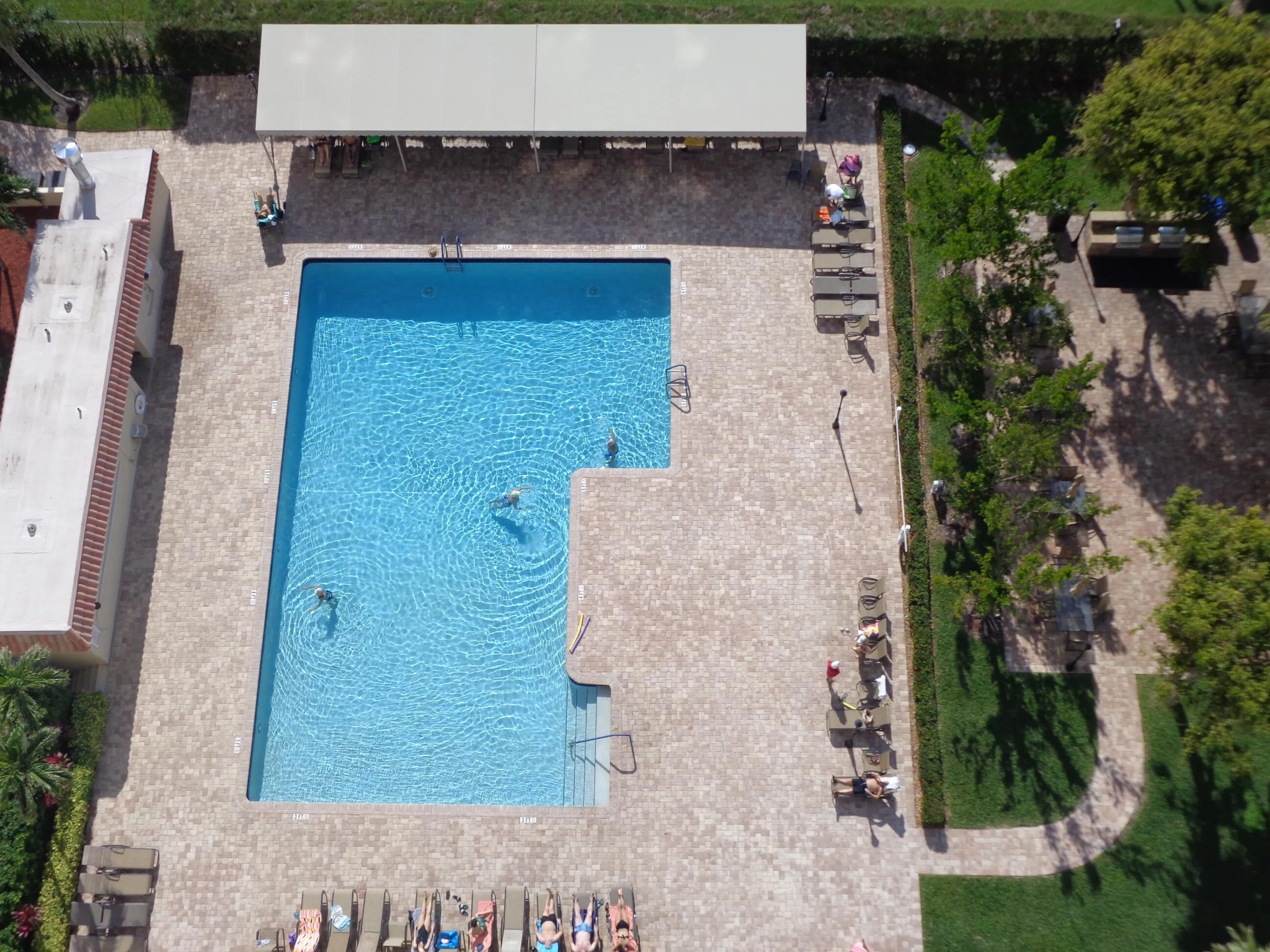 Rectangular swimming pool with integrated steps, surrounded by brick-finish paving, a covered lounge area, and manicured landscaping
