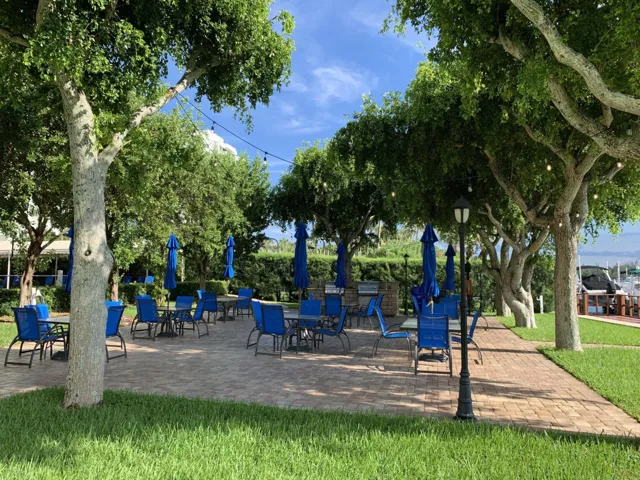Paved patio area featuring mature shade trees, string lighting, a built-in grill station, and a paved walkway