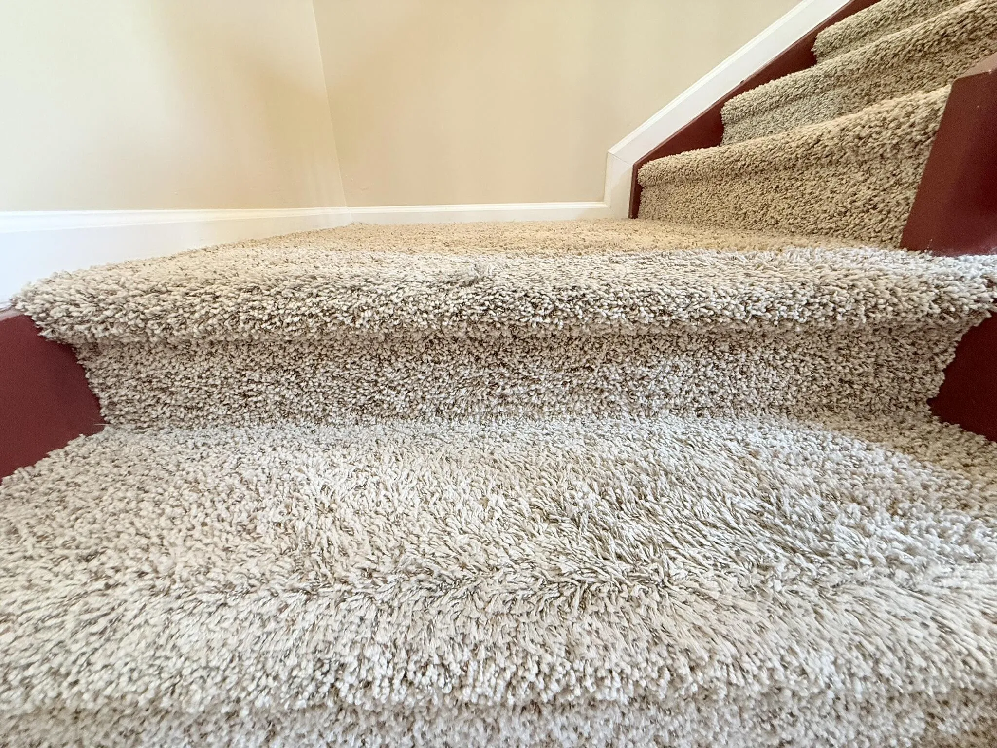 Upgraded Carpet