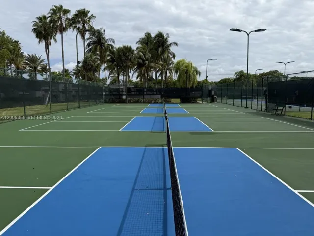 Pickle ball