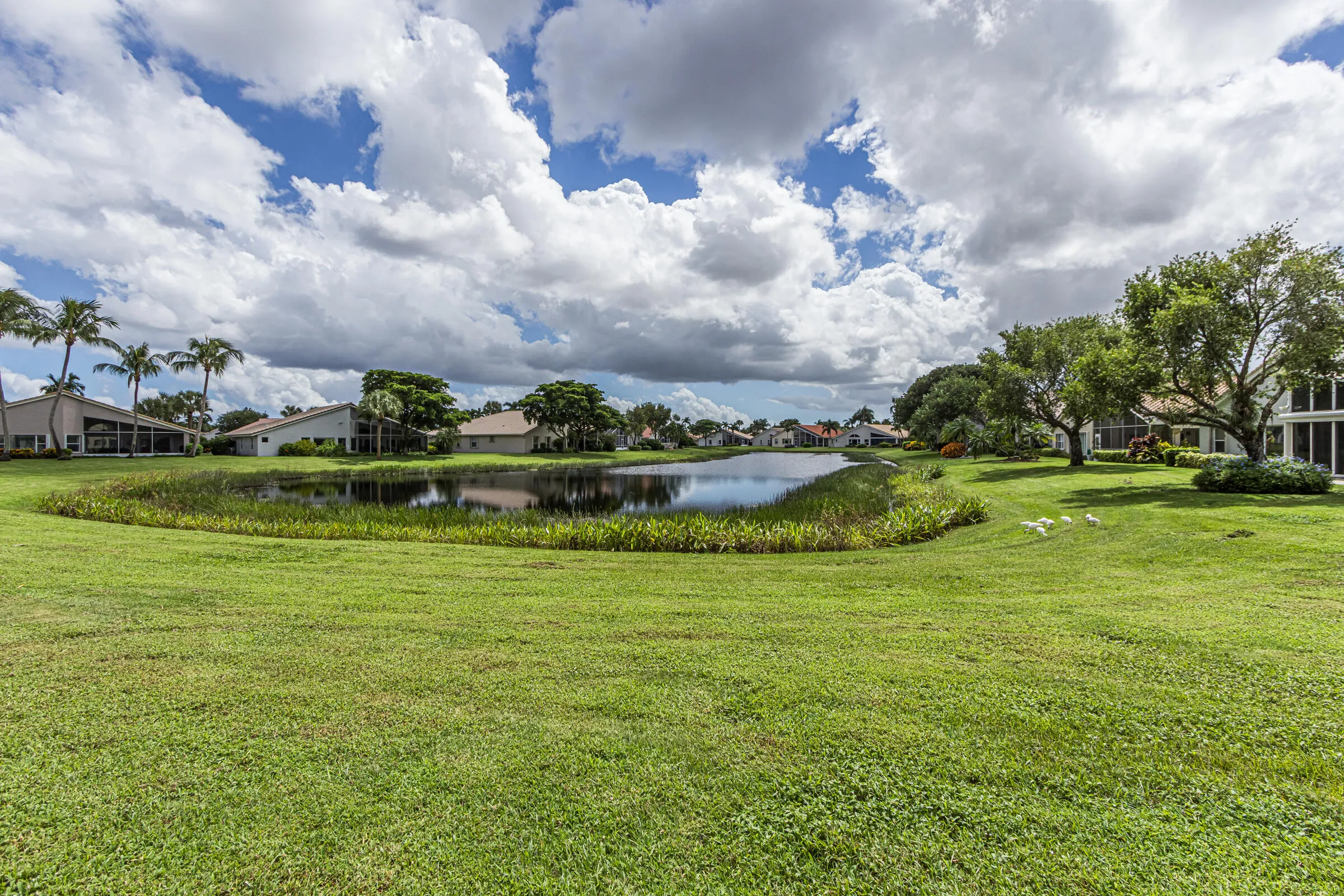Lake view
