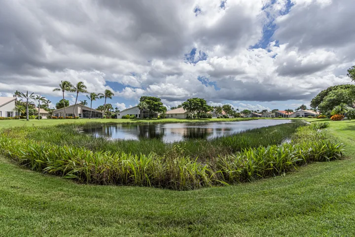 Lake view