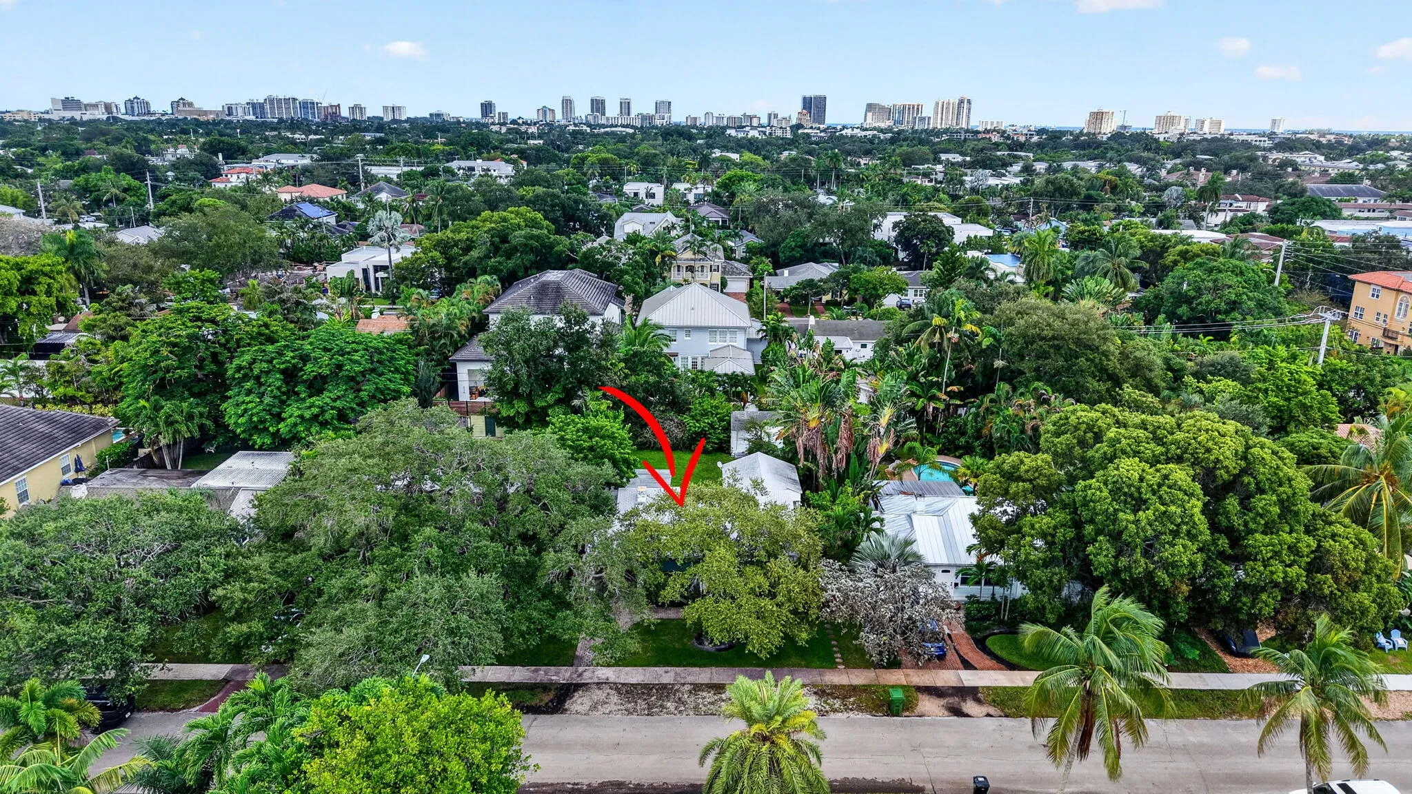 Leafy neighborhood