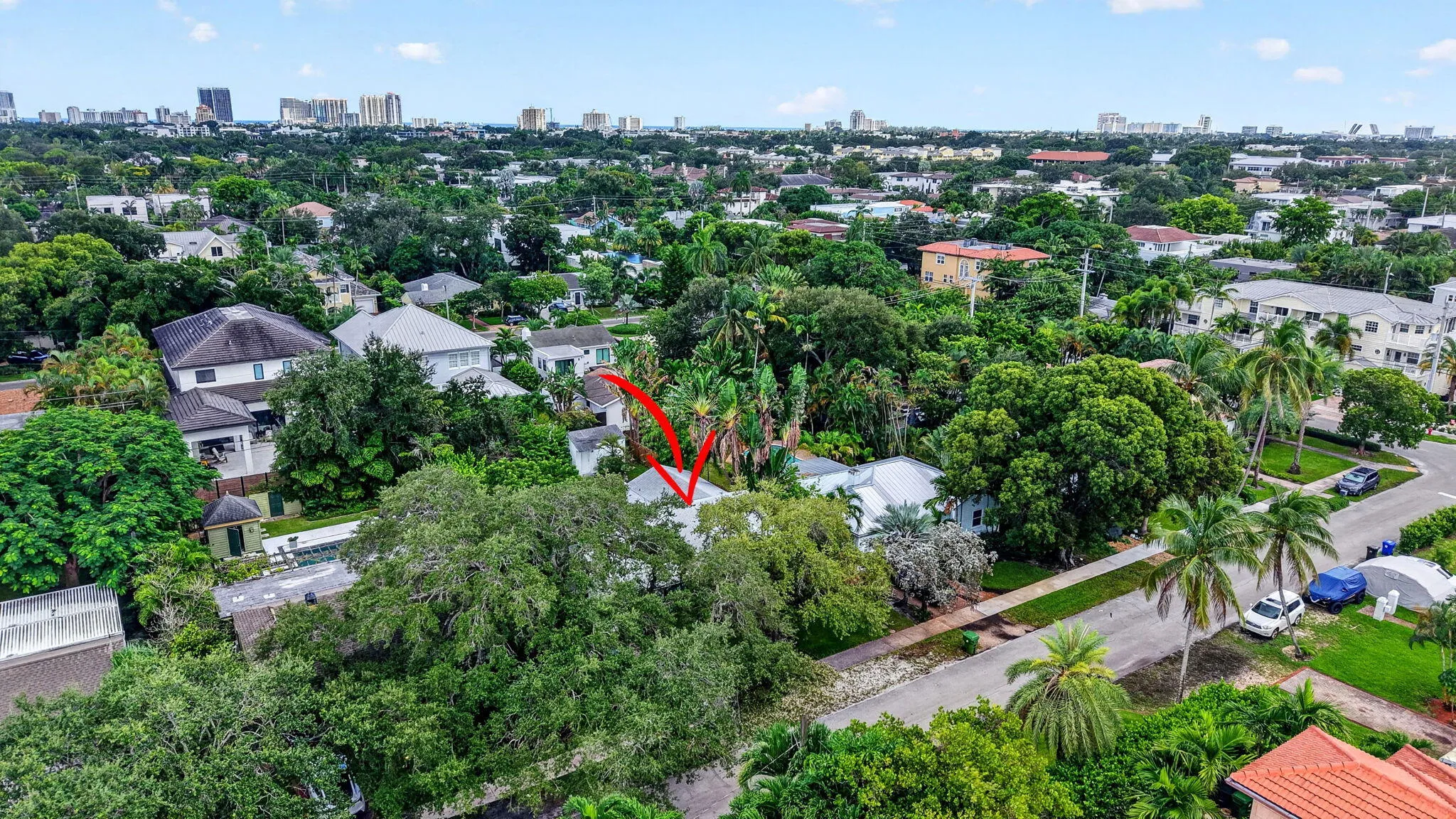 Leafy neighborhood