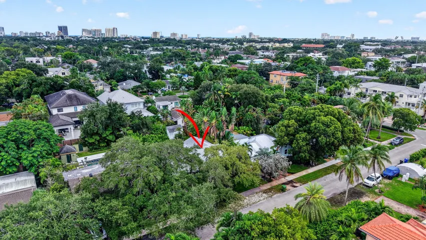 Leafy neighborhood
