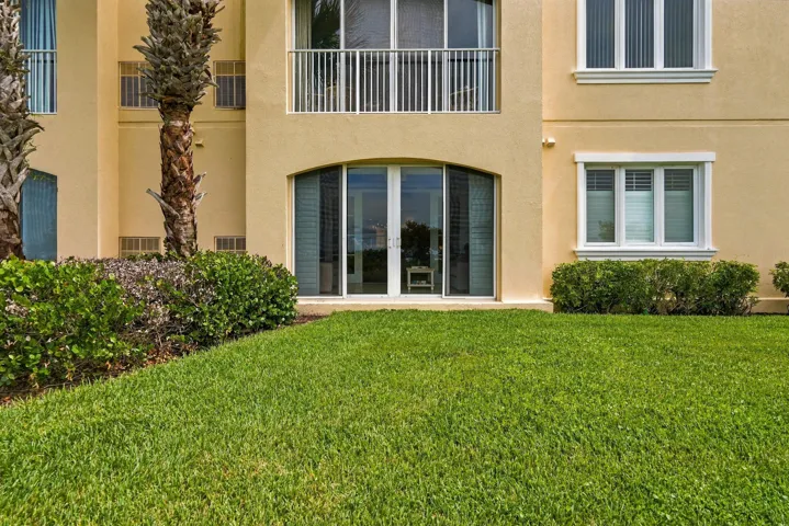 Large backyard area