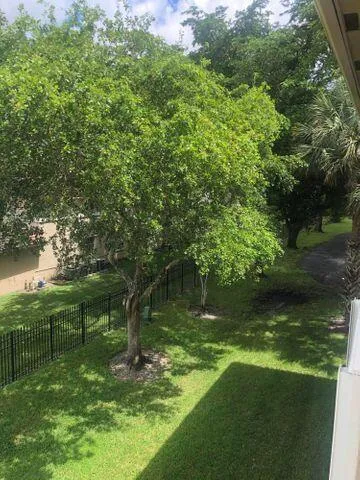 Patio View