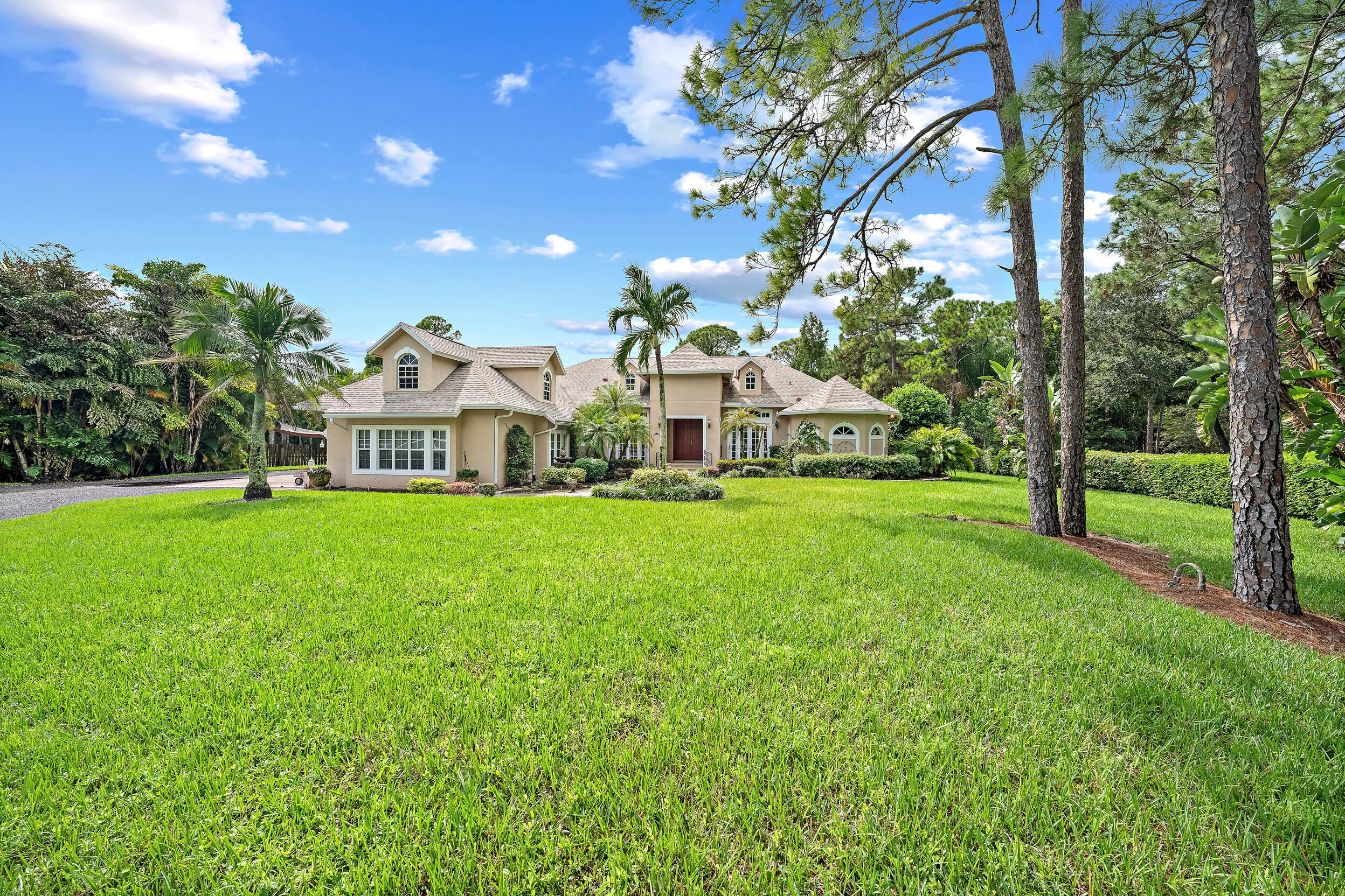 Front Yard