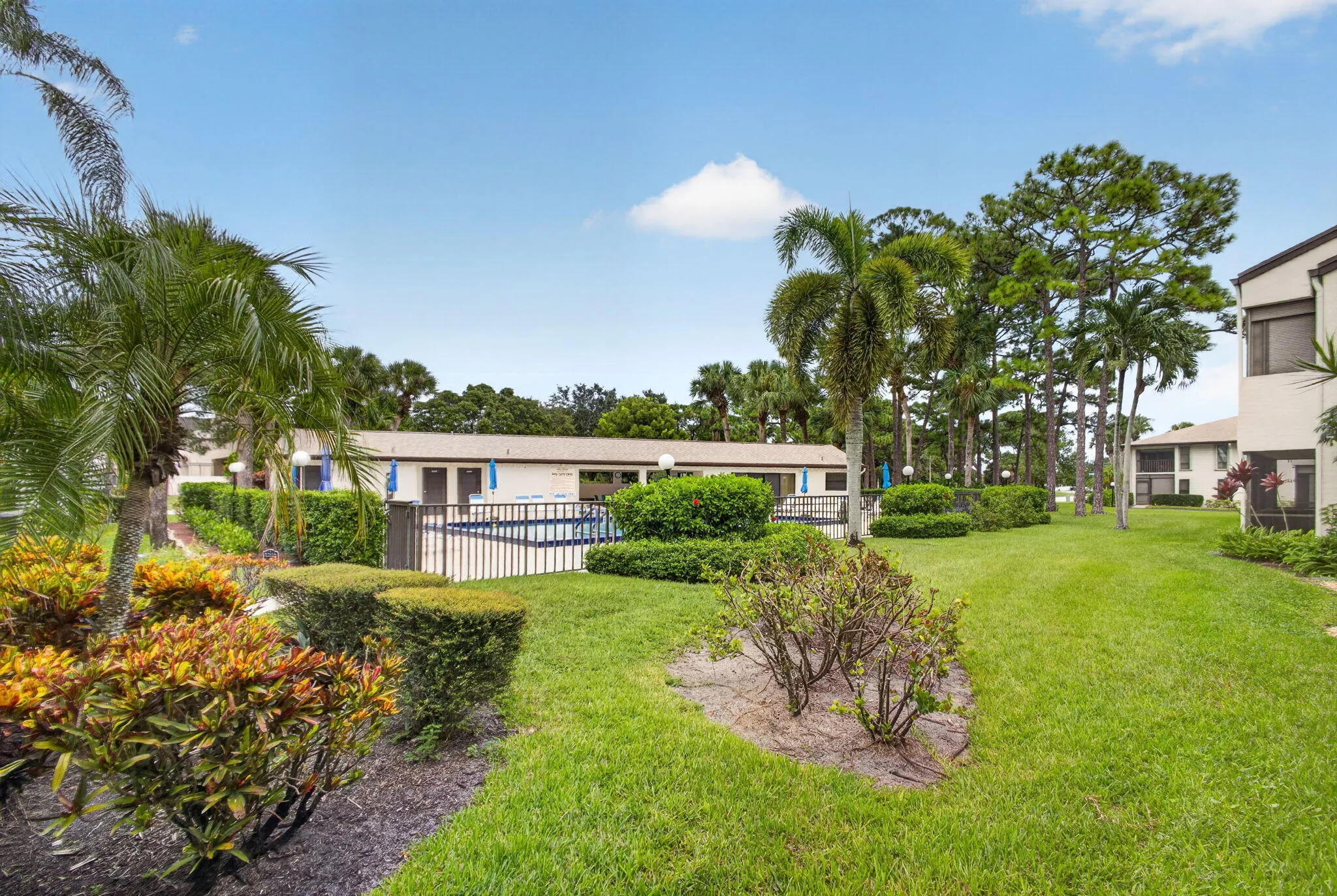 39-web-or-mls-5D1A6892