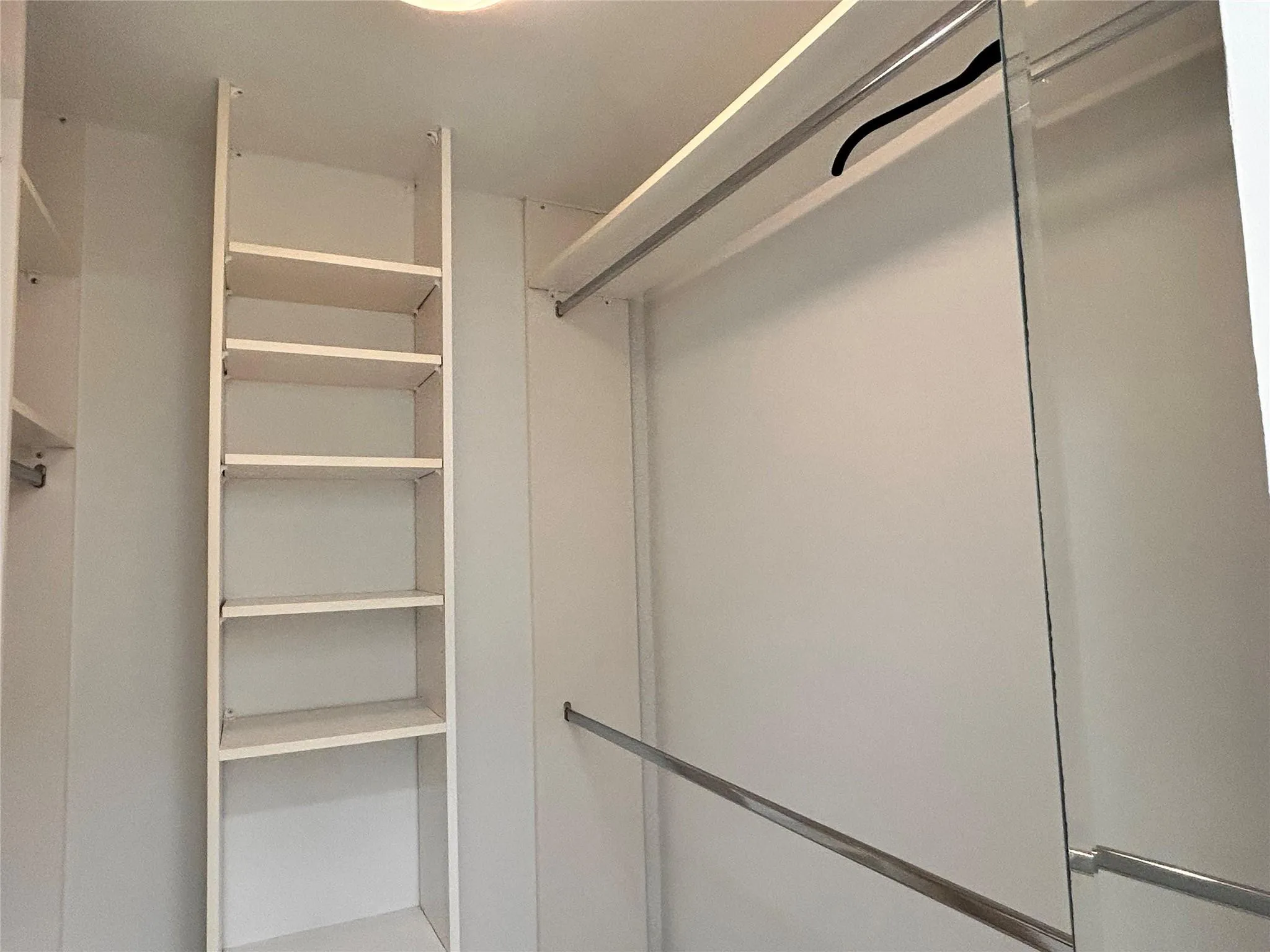 Built-in shelving, chrome hanging rods, and a mirrored closet door
