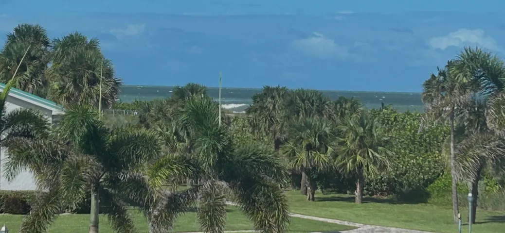 zoomed view