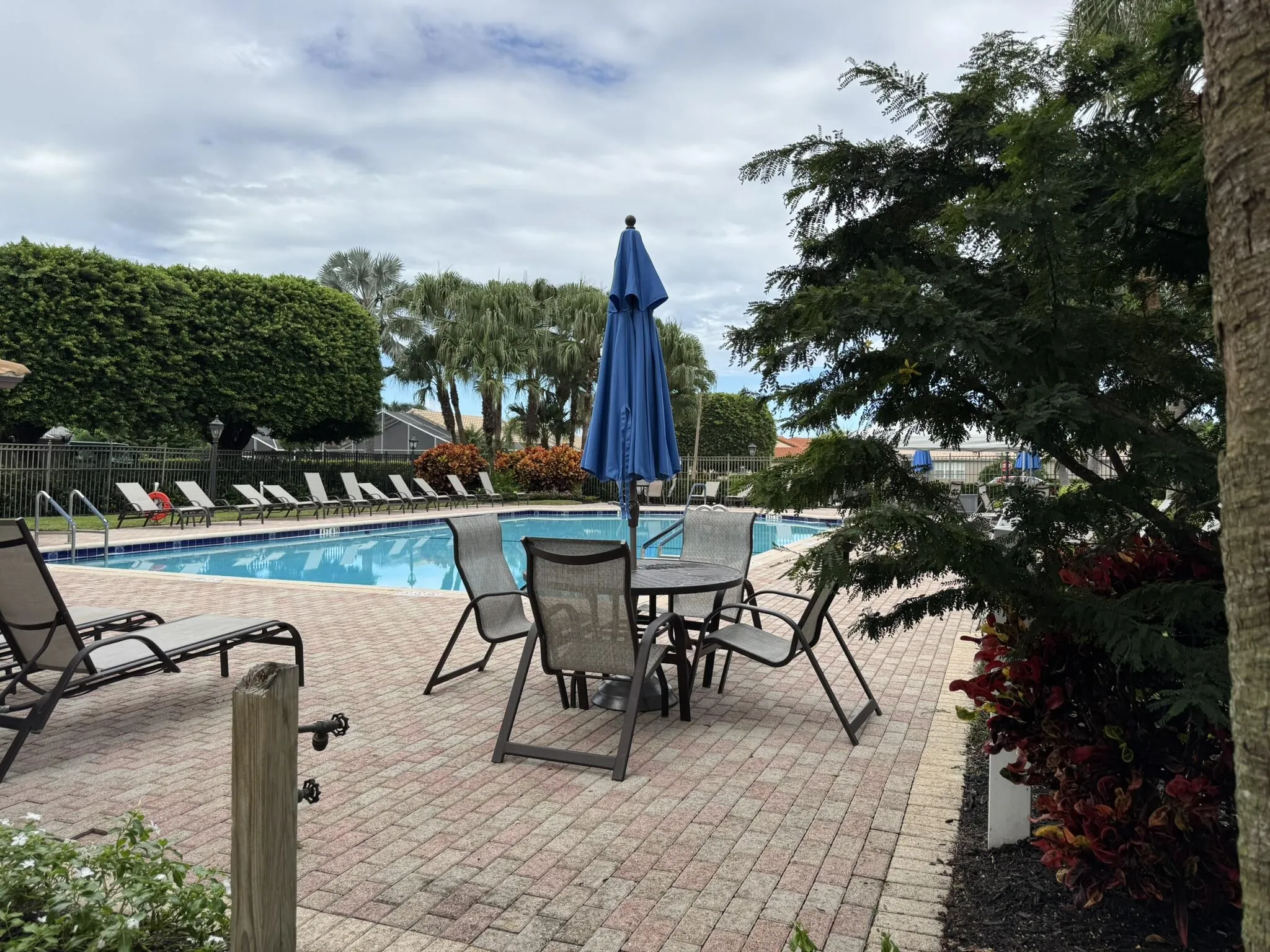 Wedgewood Pool