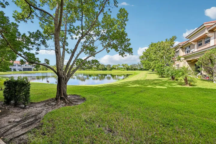 Expansive green lawn with mature trees and a tranquil pond feature