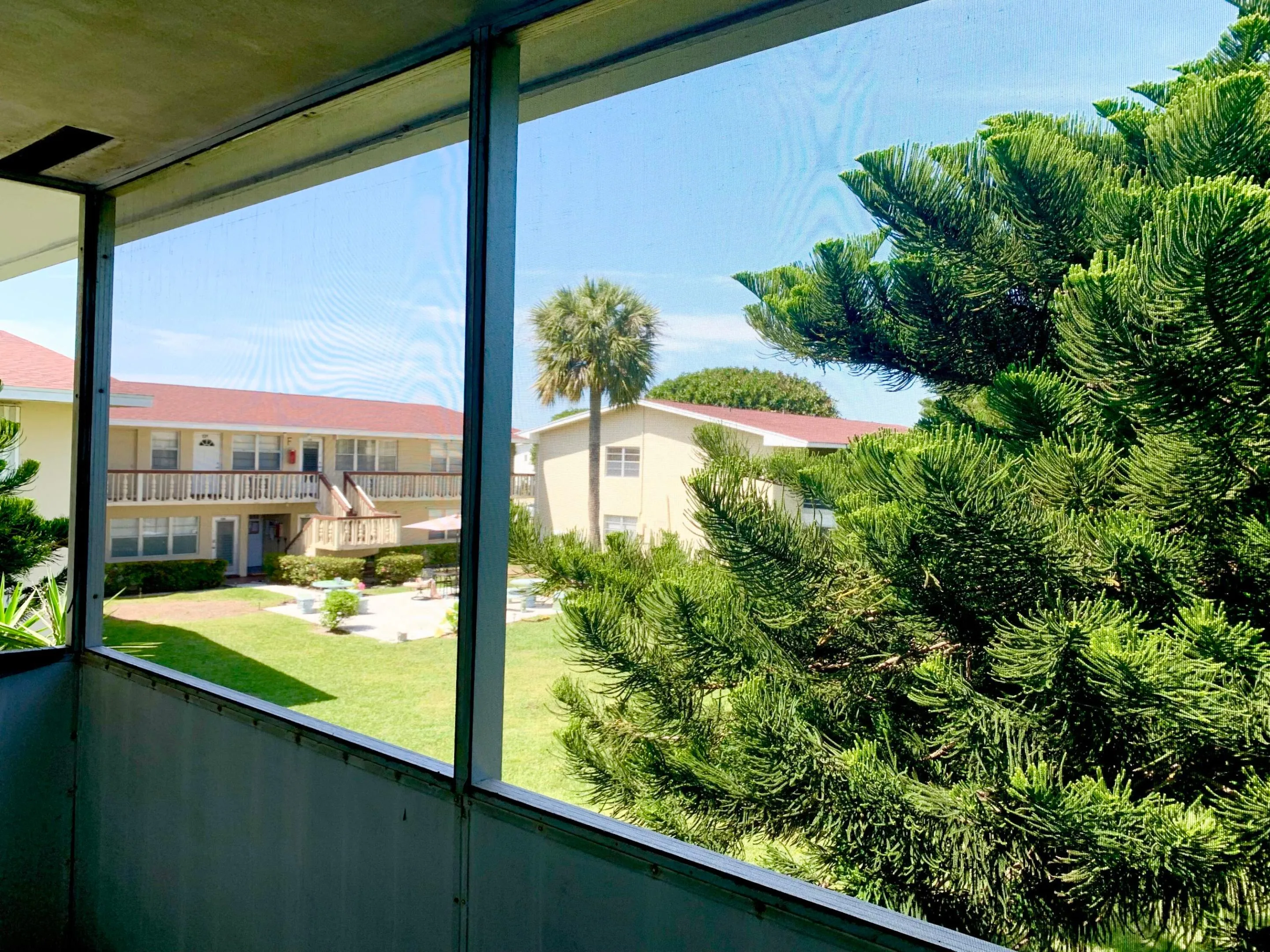 IMG_6112