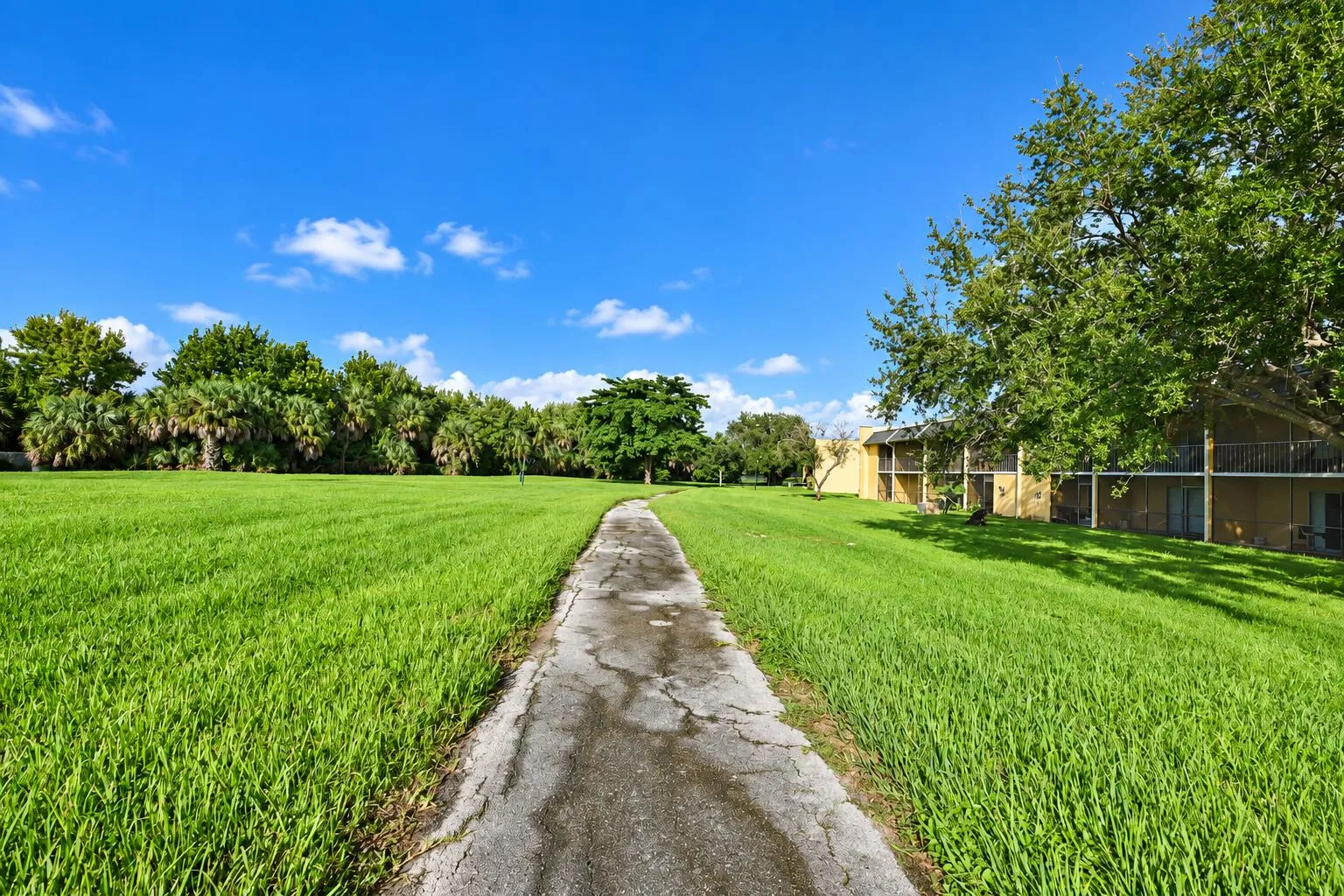 1509 walking path