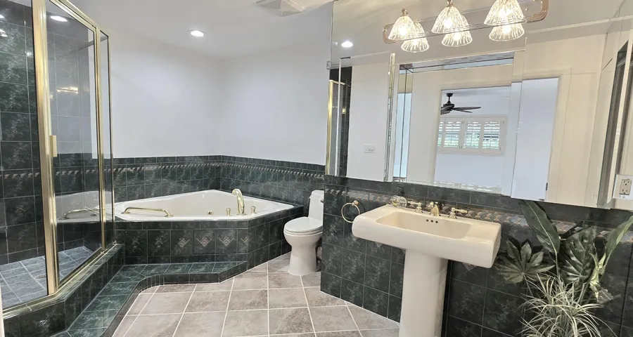Master bath walk in shower & jet tub