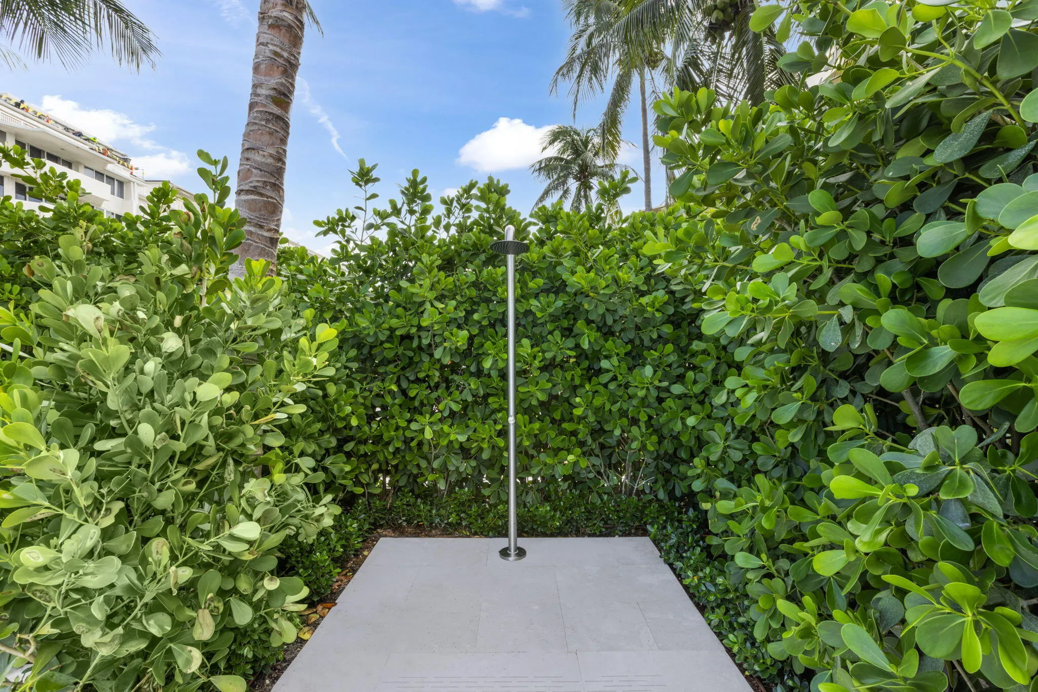 Outdoor shower with a stainless steel fixture, surrounded by dense privacy hedging and mature palm trees