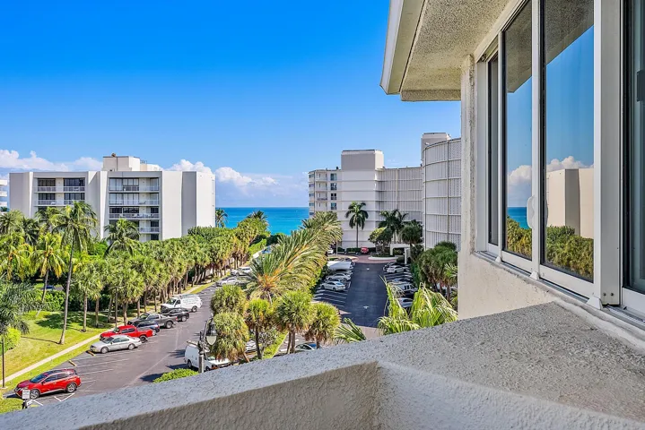 Expansive water body, lush palm trees, and clear blue sky visible from the property