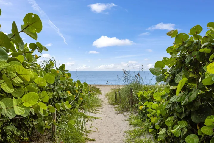 Deede beach path across the way