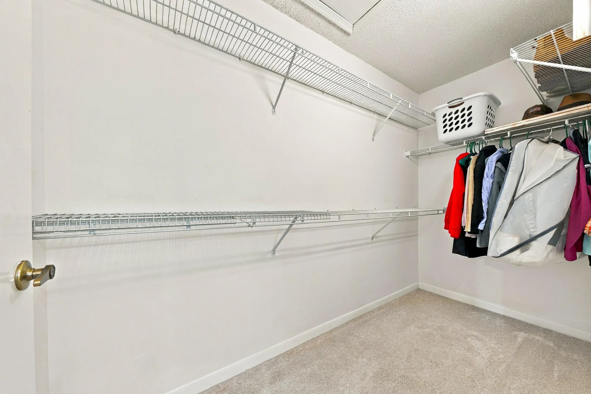 2026 (8)
