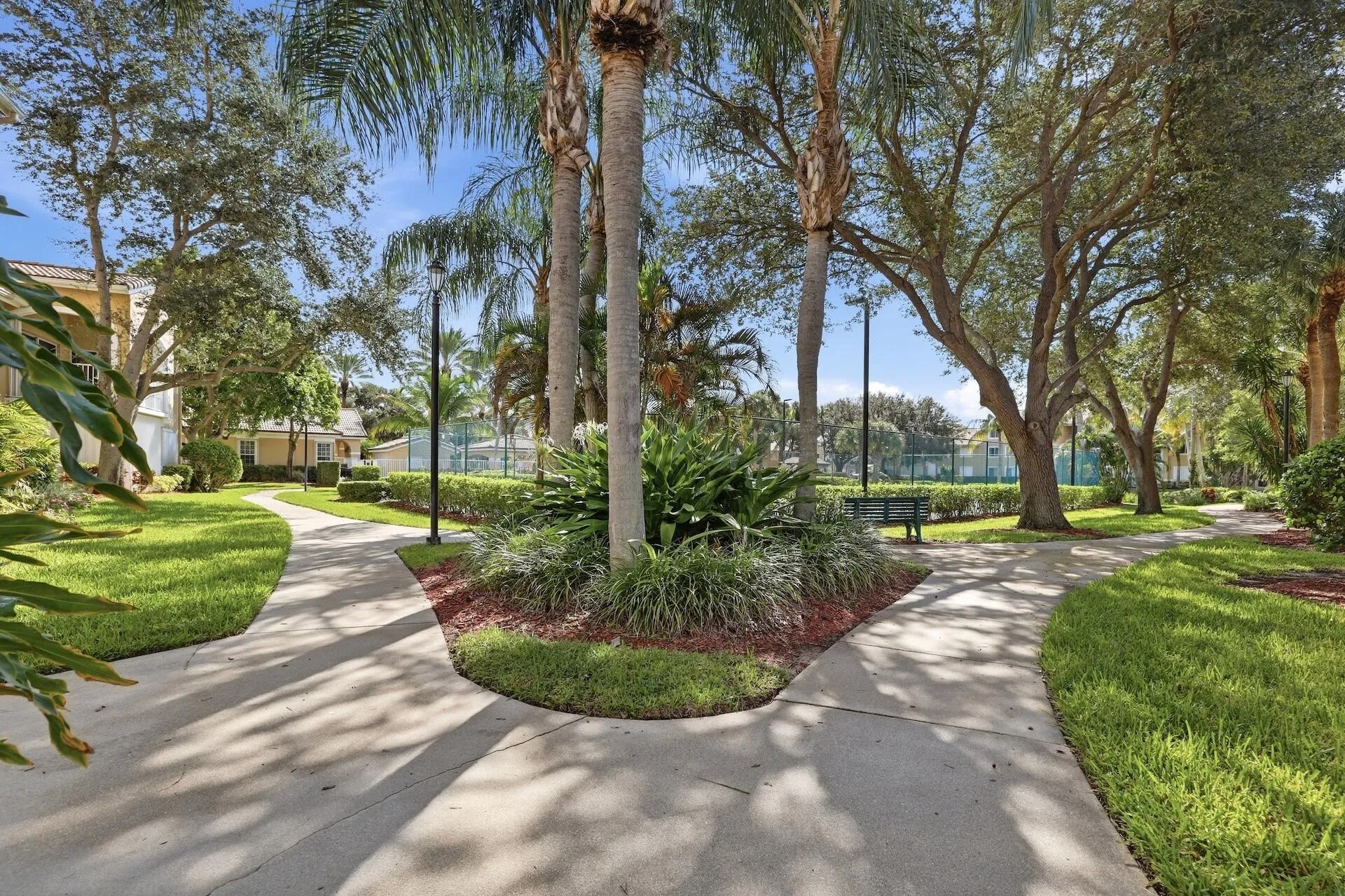 Lush trees surrounding your walking path, pet friendly for owners.