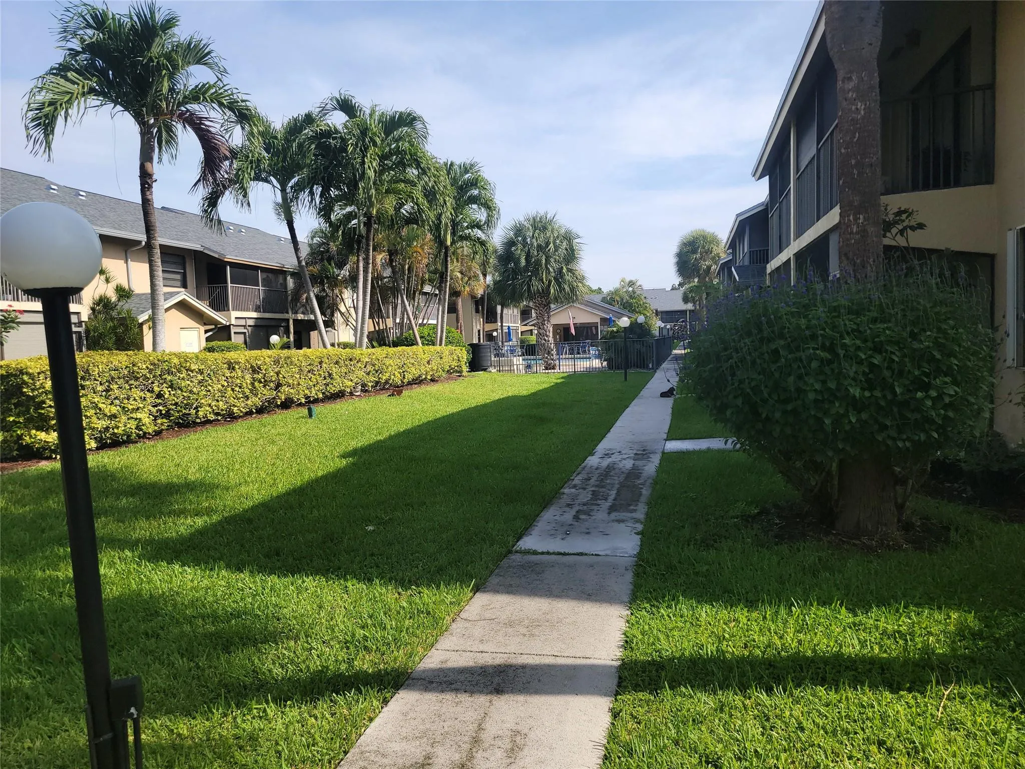 Manicured lawn with mature palm trees and established hedging