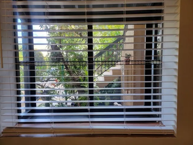 Window with white horizontal blinds