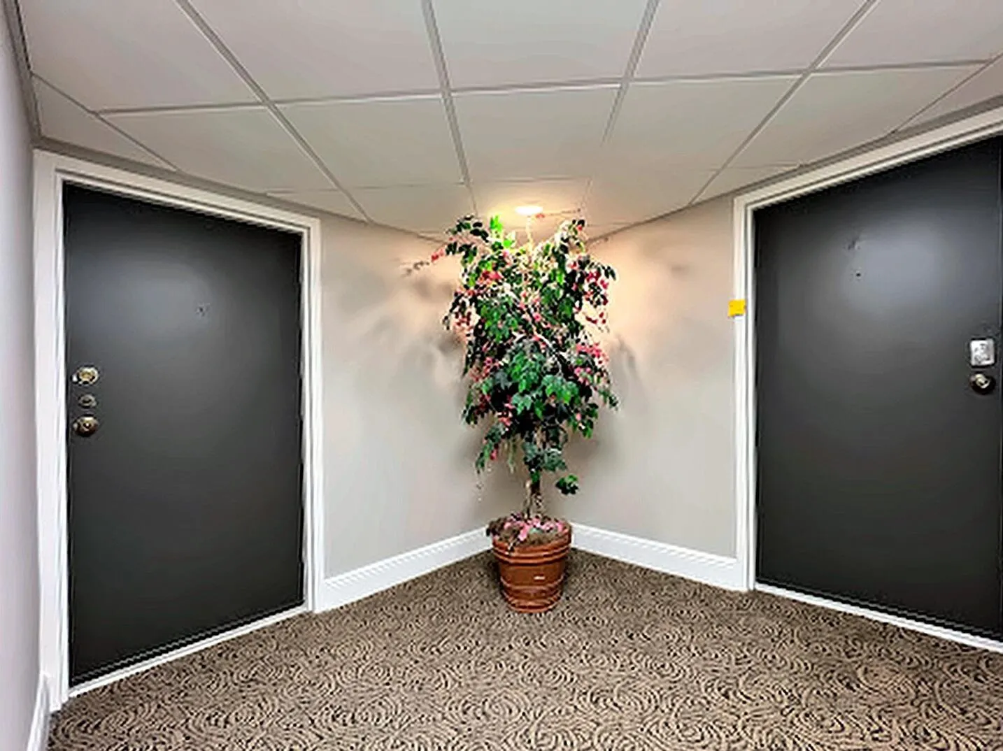 25-hallway-unit-doors
