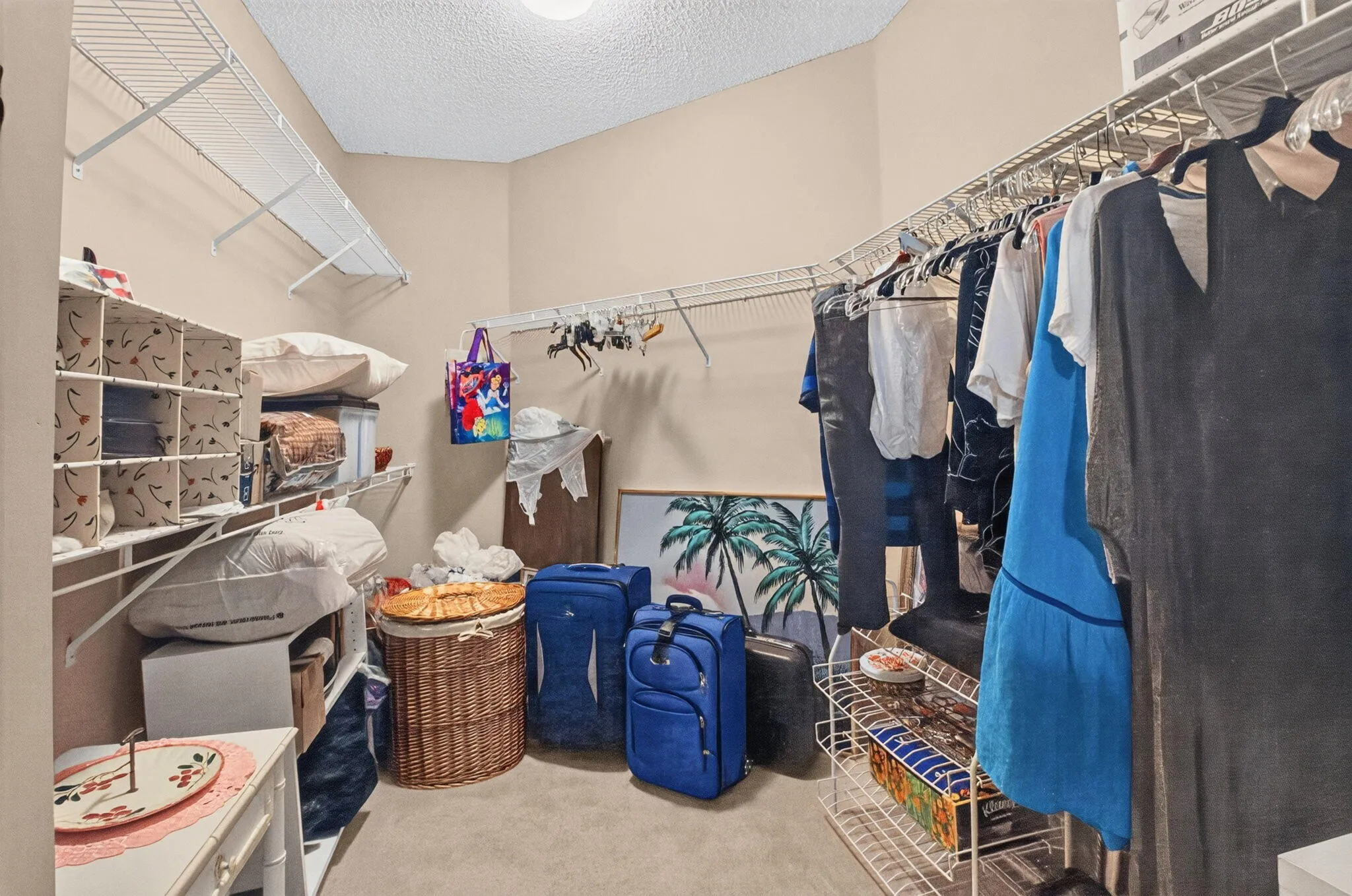 22-web-or-mls-DSC_6394