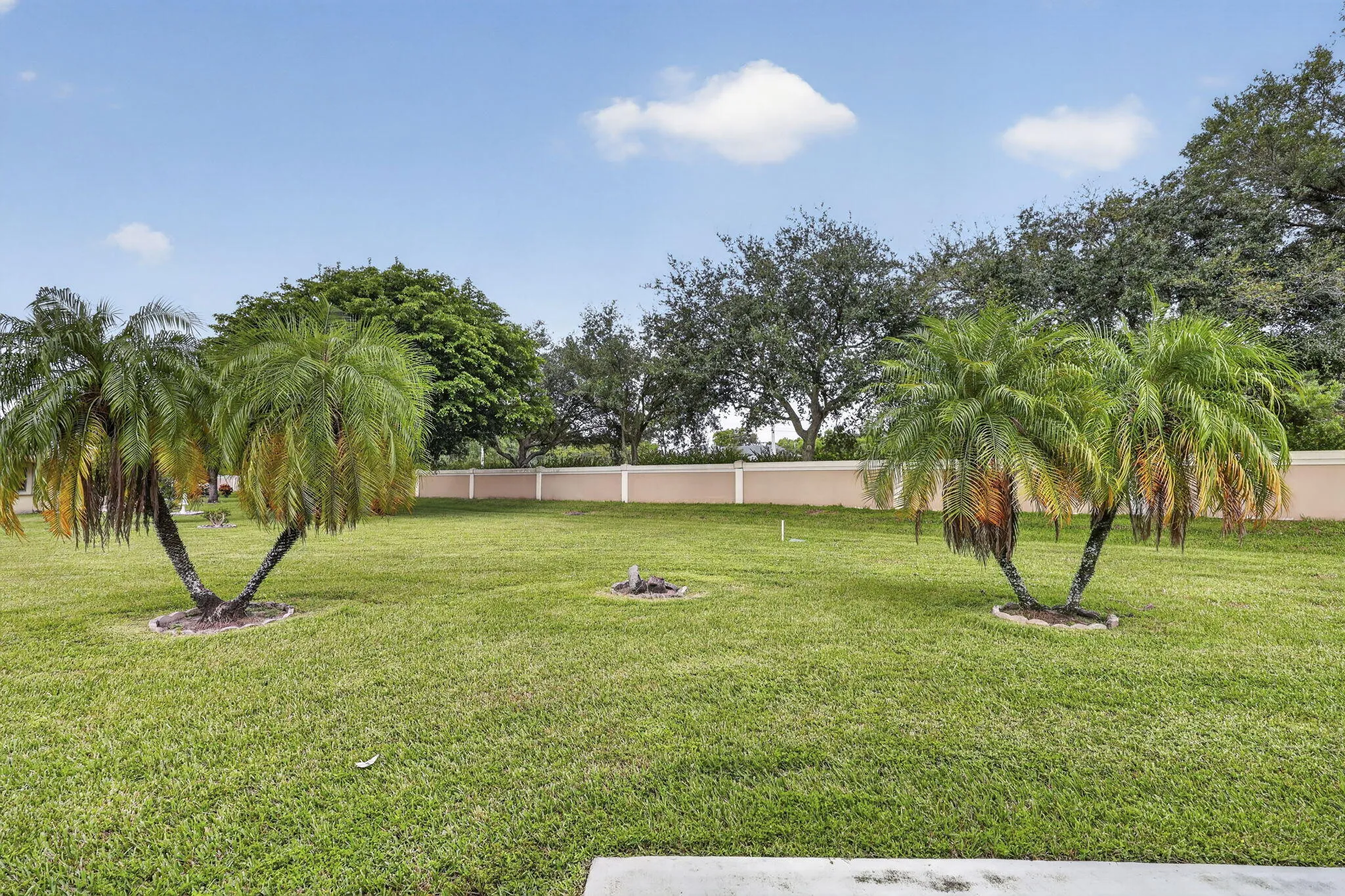 Huge Yard