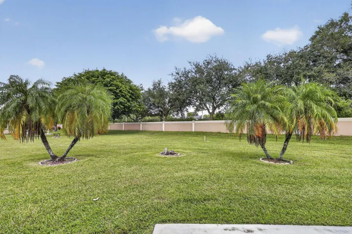 Huge Yard
