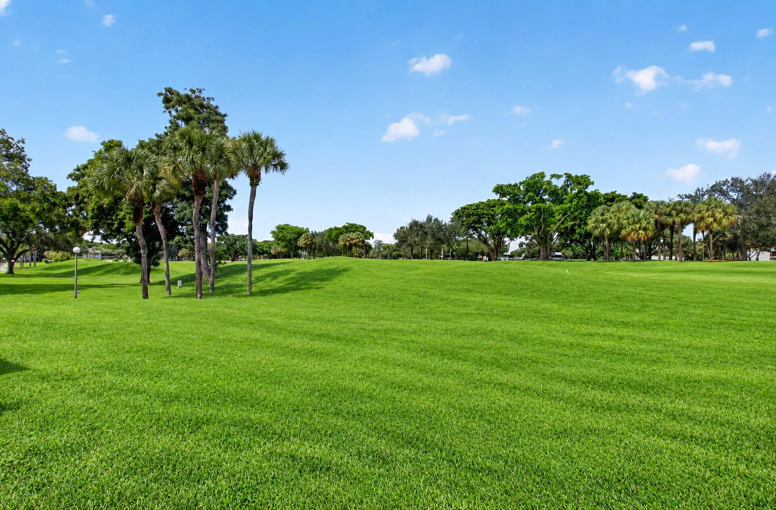 Rear Golf Course View