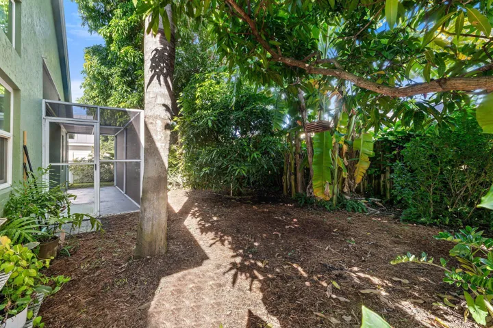 Back yard
