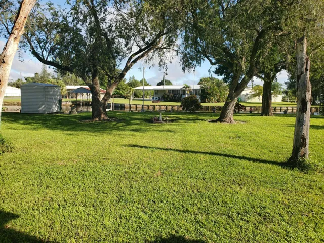 back yard (fenced)