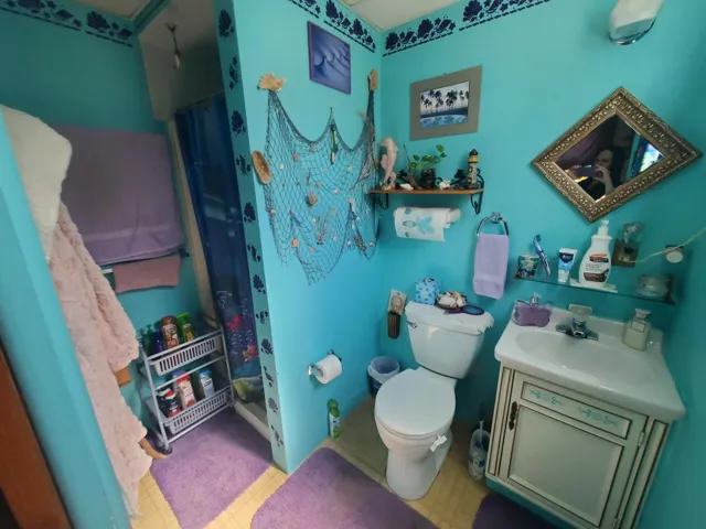 downstairs bath