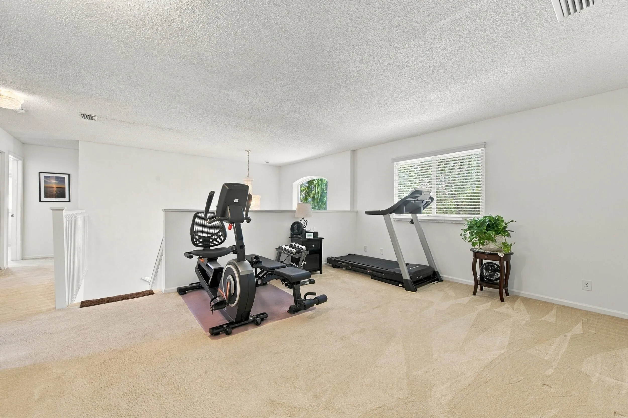 Carpeted bonus room with a large window and white walls