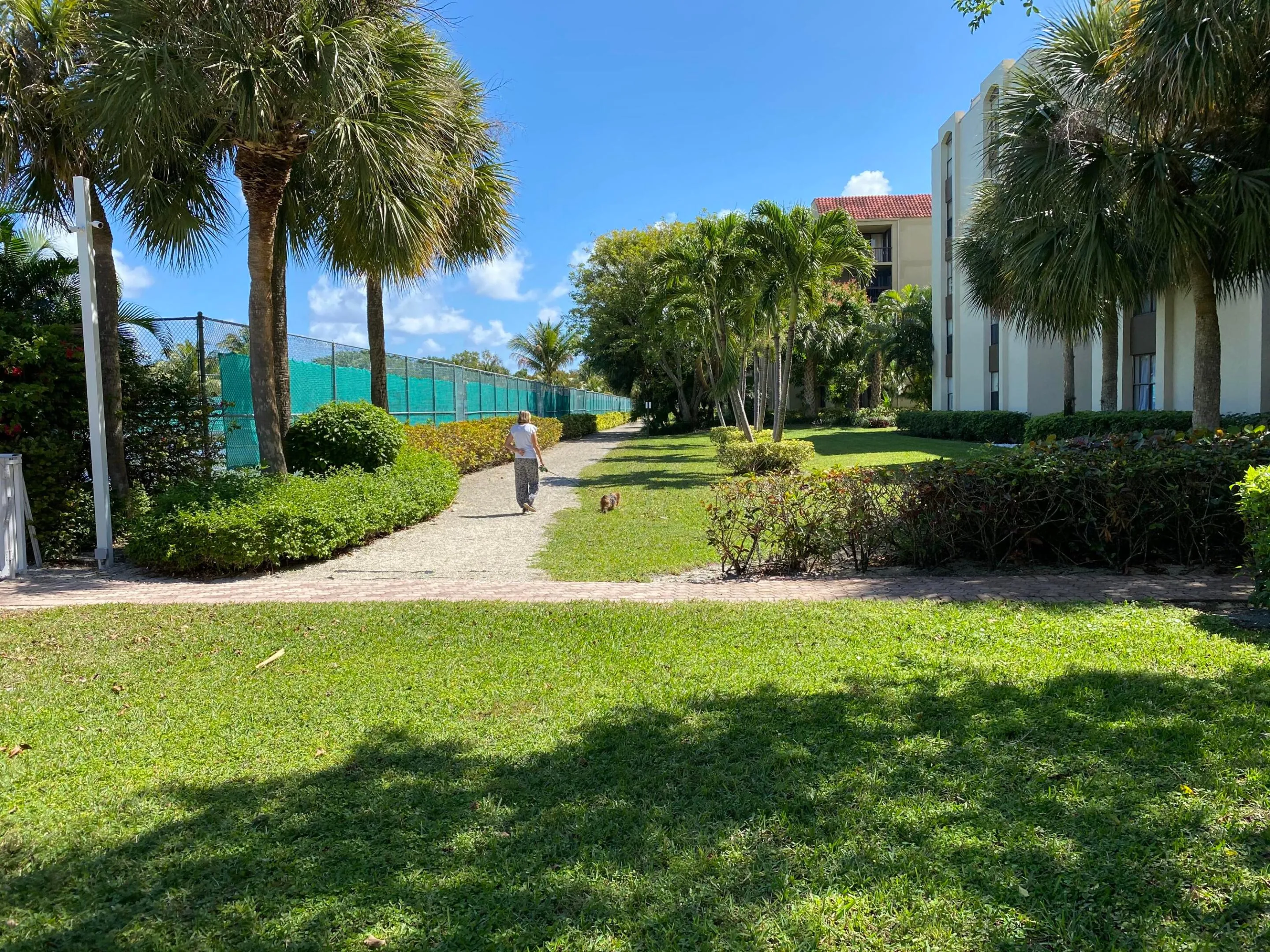 Manicured green spaces with mature palm trees, paved walking path, and a tennis court