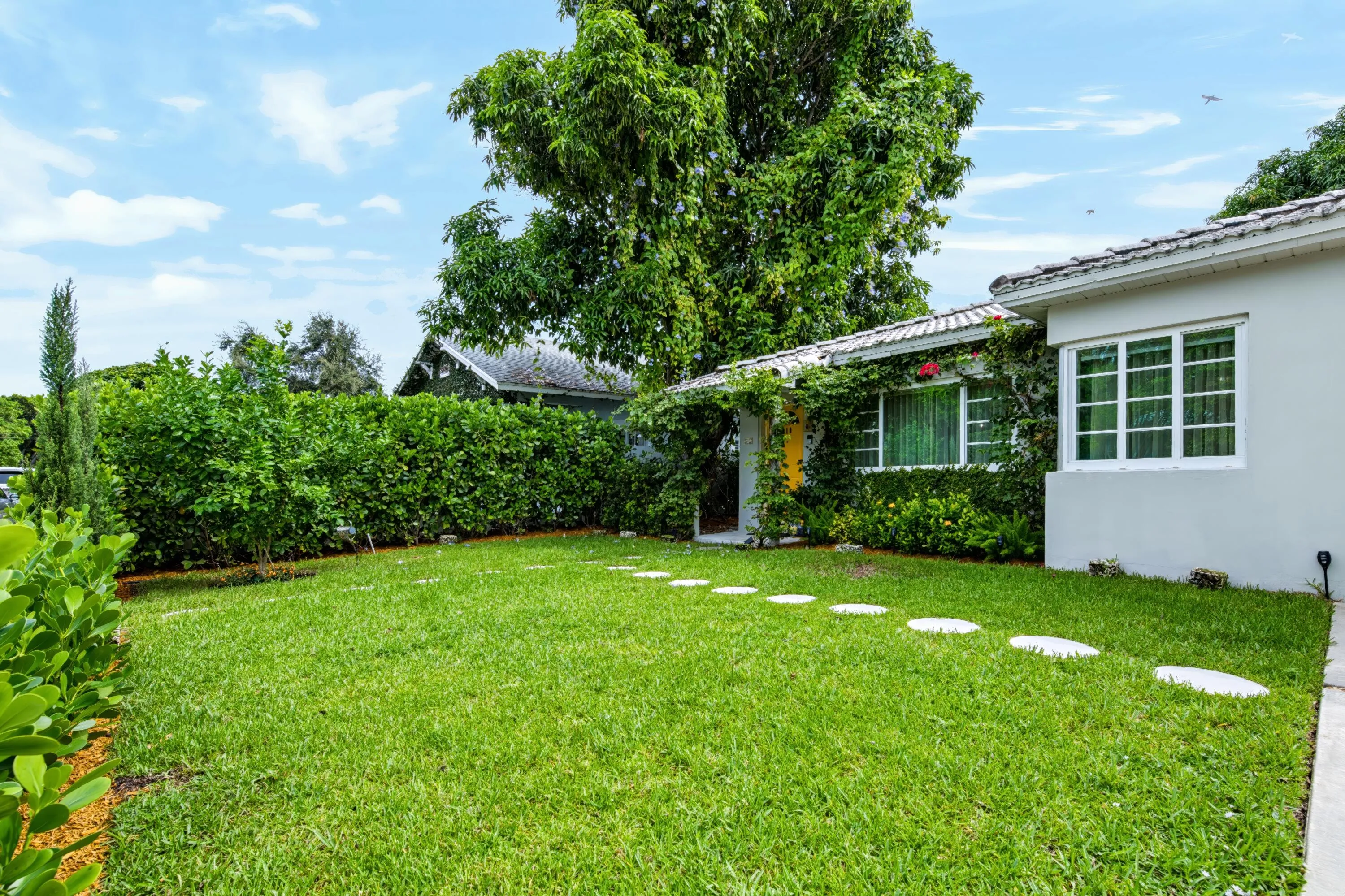 Yard