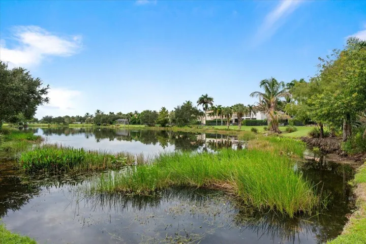 Lovely Lake_