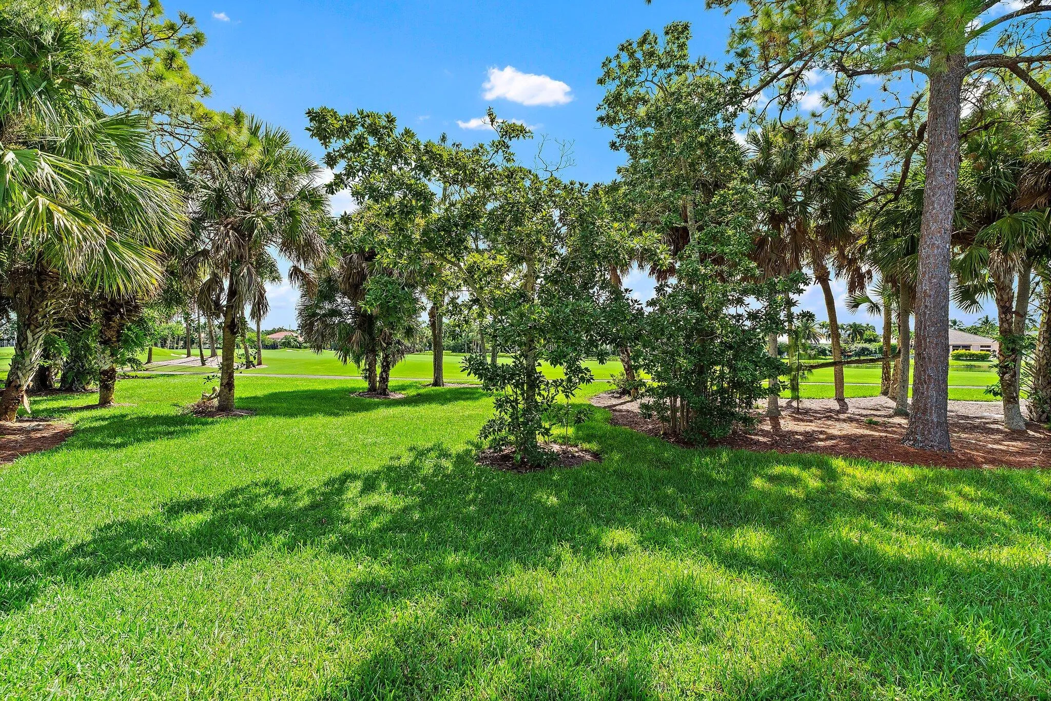 Yard View