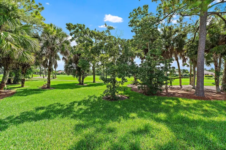Yard View