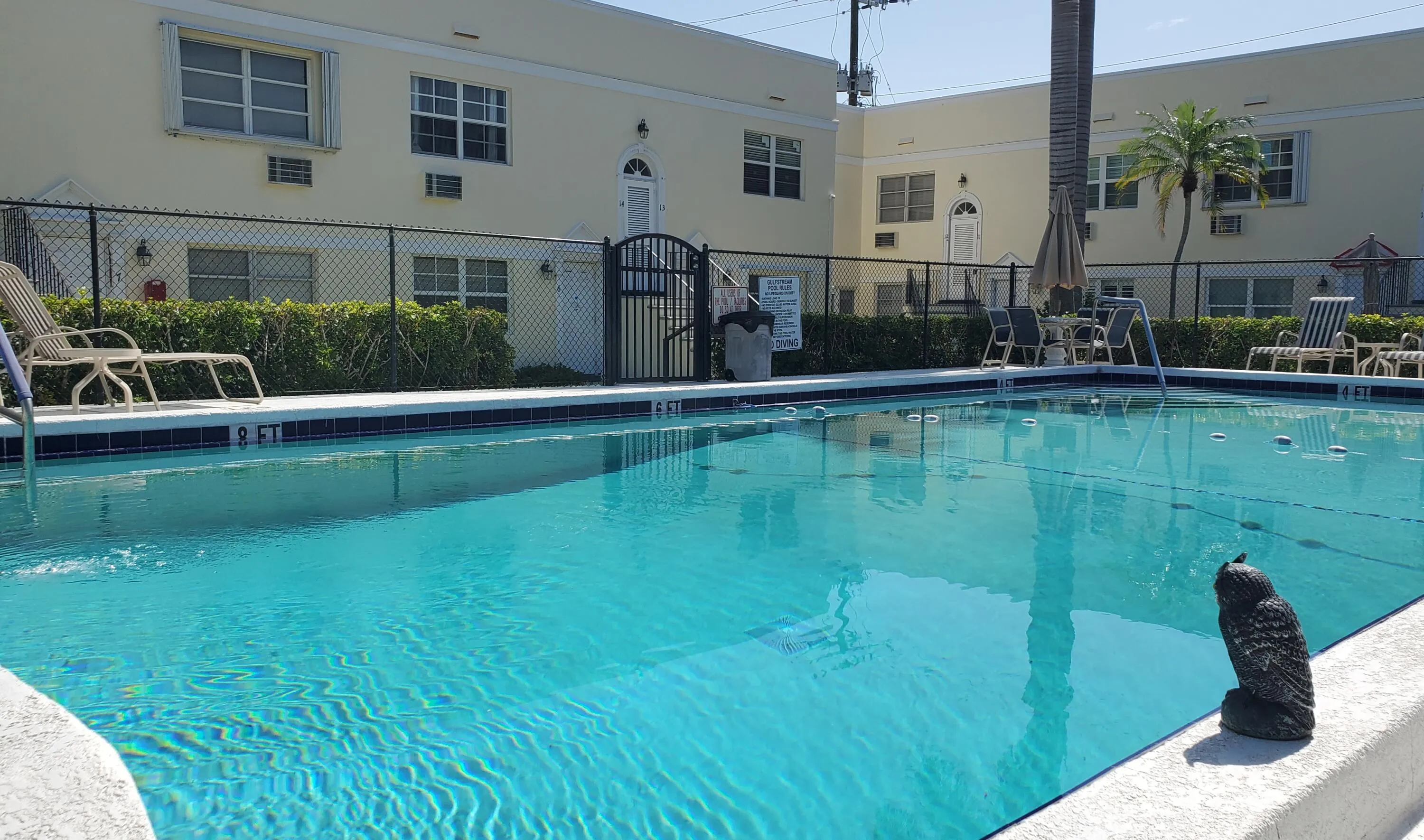 Pool View (2)
