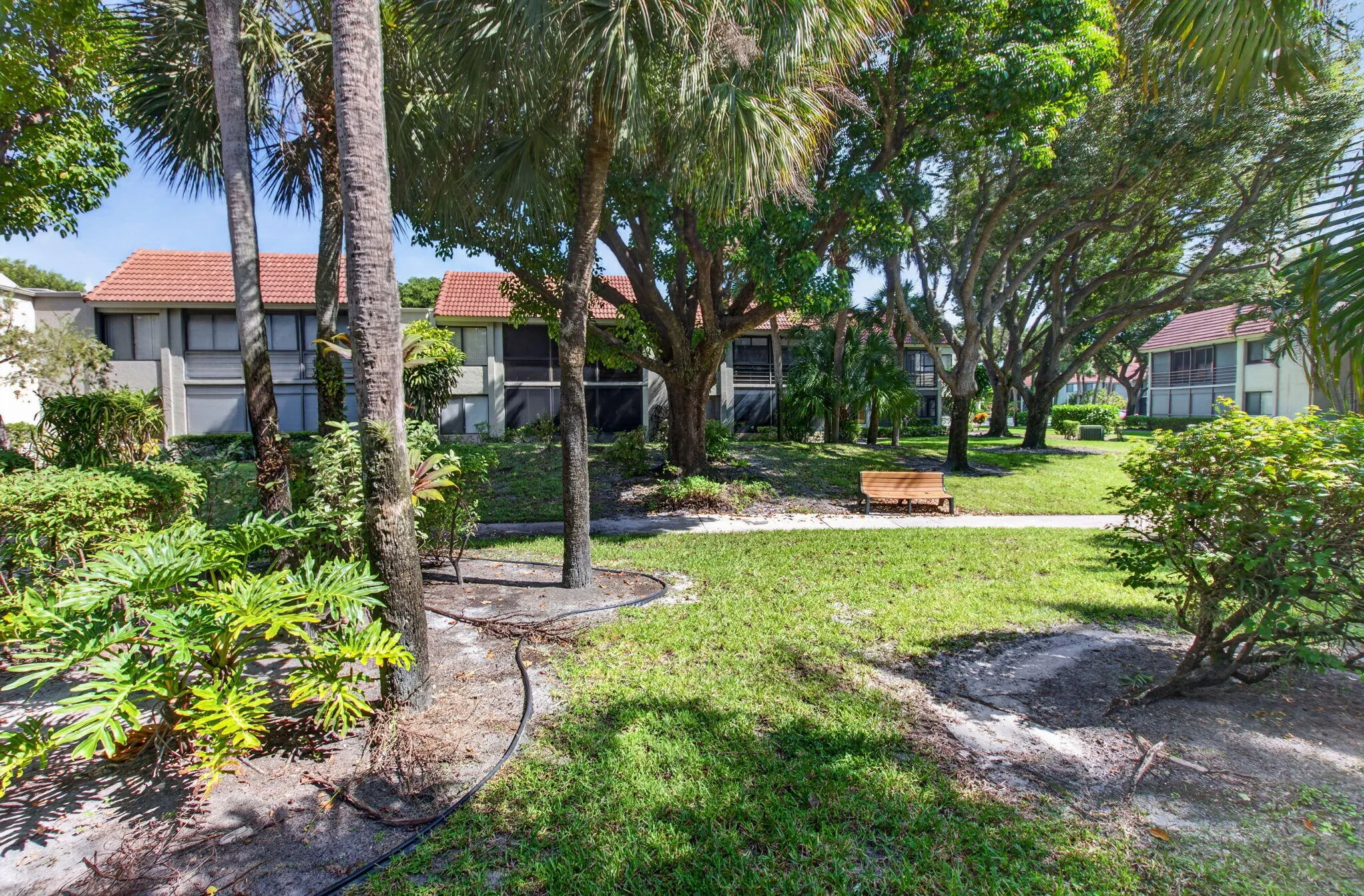 Manicured lawn with mature trees and tropical landscaping