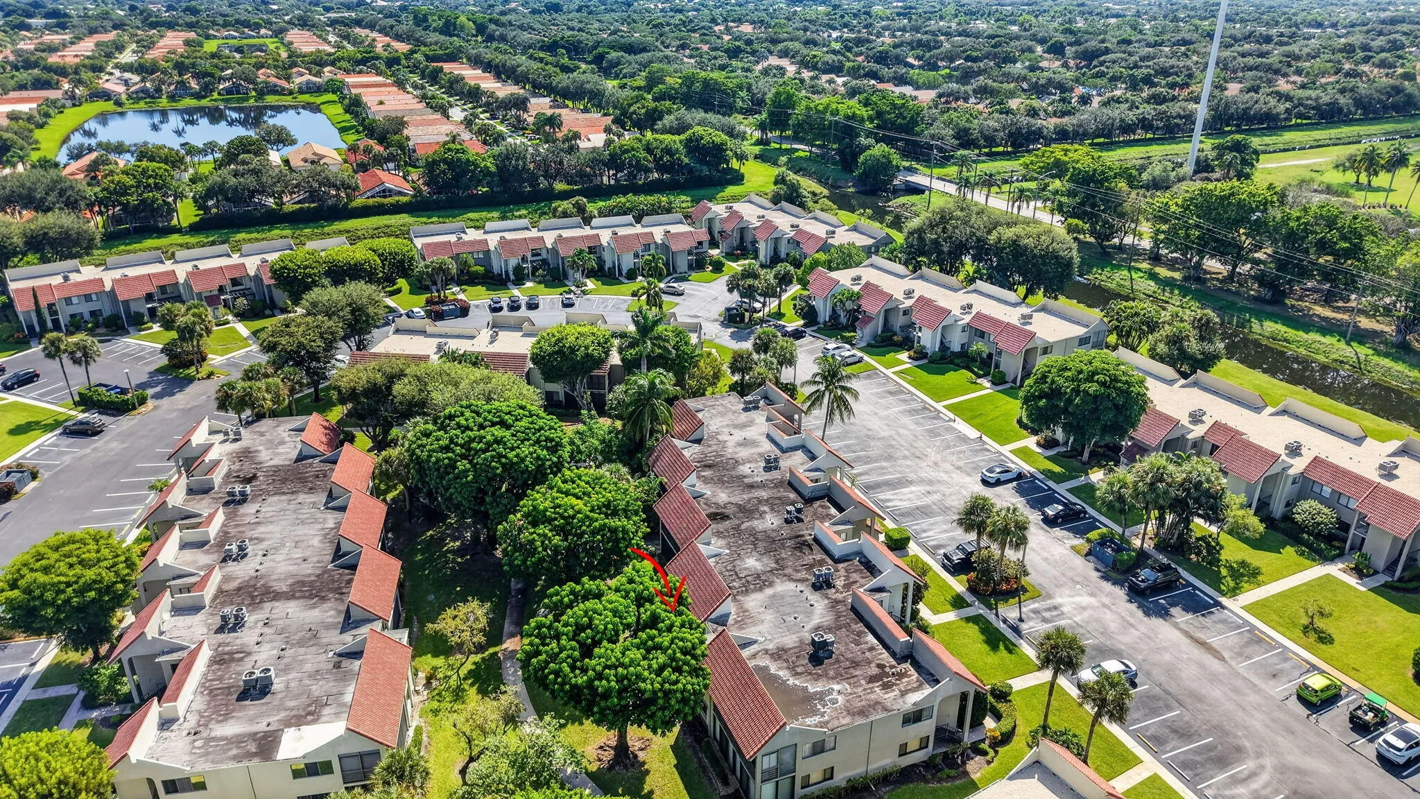 Tropical landscaping and views of Indian Springs