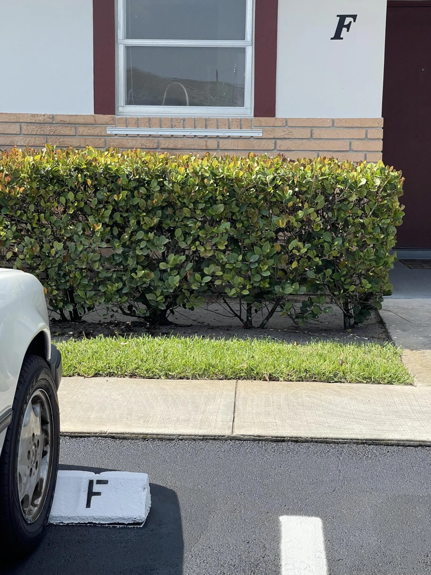 parking space