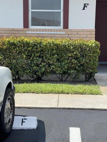parking space