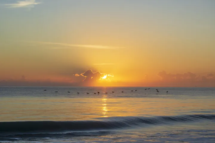 Image00068