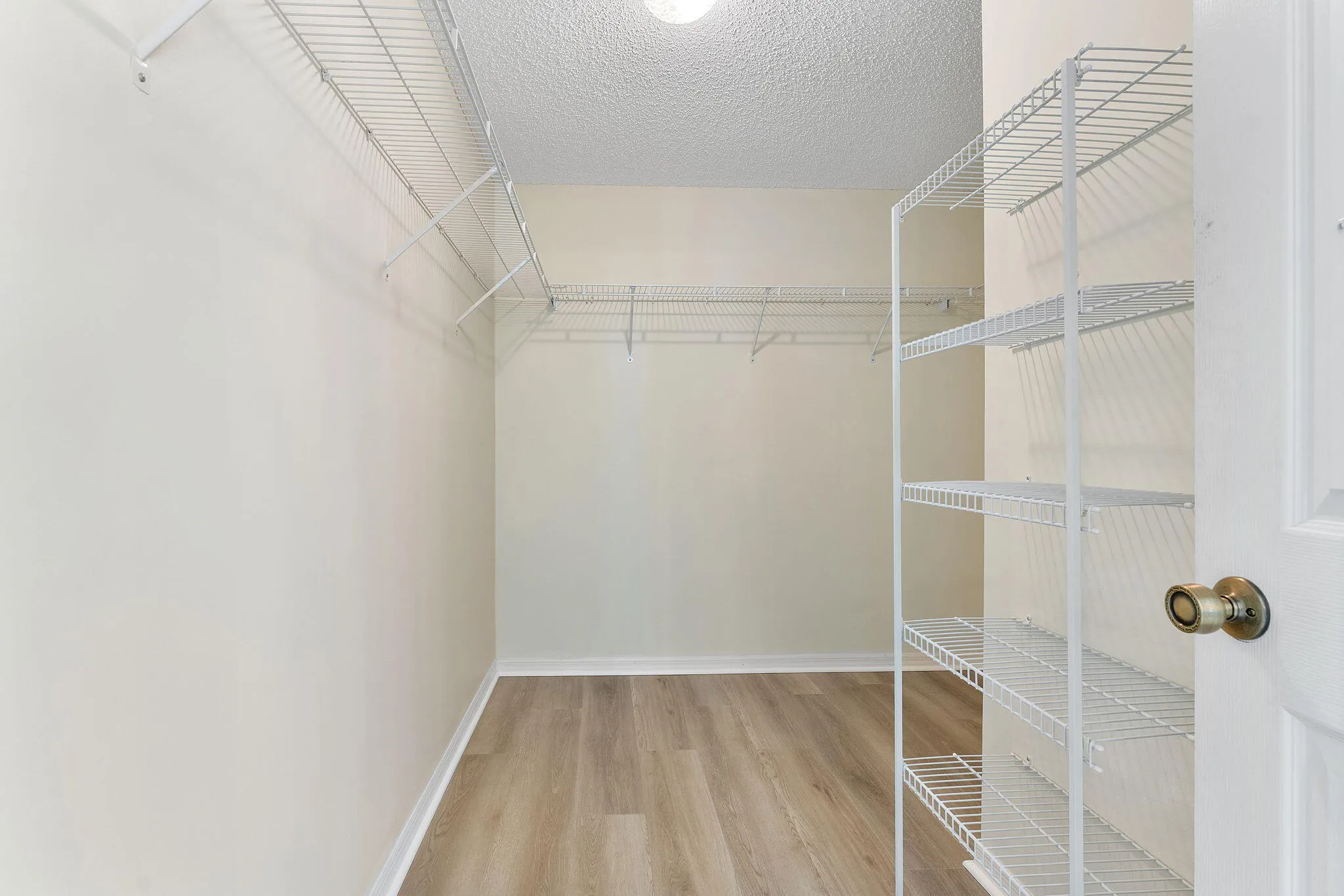 52-web-or-mls-DSC09371